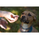 Geloren DOG L-XL 420 g (60 tbl)